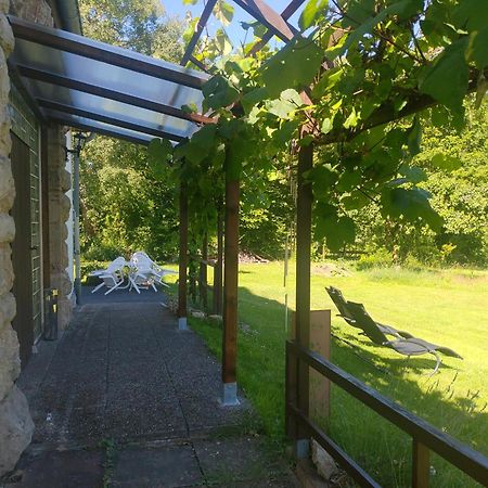 Haus Ringgau - Urlaub, Gemeinschaft Und Erlebnis Im Herzen Von Deutschland Herleshausen Eksteriør billede