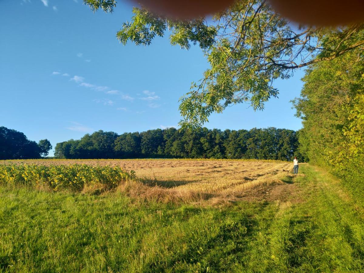 Haus Ringgau - Urlaub, Gemeinschaft Und Erlebnis Im Herzen Von Deutschland Herleshausen Eksteriør billede