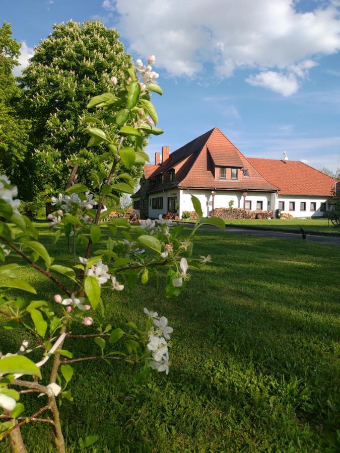 Haus Ringgau - Urlaub, Gemeinschaft Und Erlebnis Im Herzen Von Deutschland Herleshausen Eksteriør billede