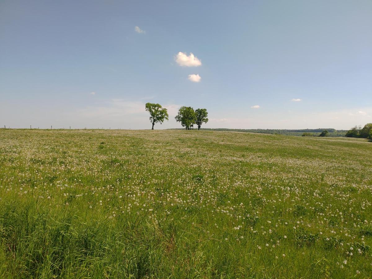 Haus Ringgau - Urlaub, Gemeinschaft Und Erlebnis Im Herzen Von Deutschland Herleshausen Eksteriør billede