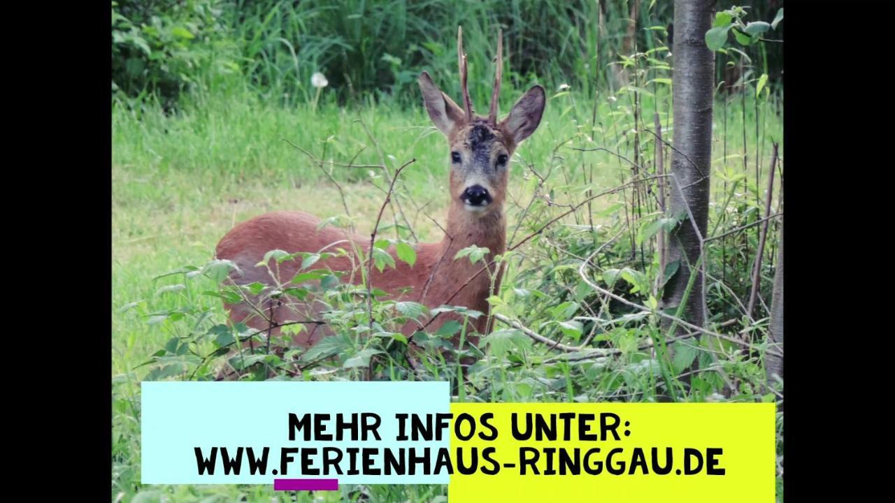 Haus Ringgau - Urlaub, Gemeinschaft Und Erlebnis Im Herzen Von Deutschland Herleshausen Eksteriør billede